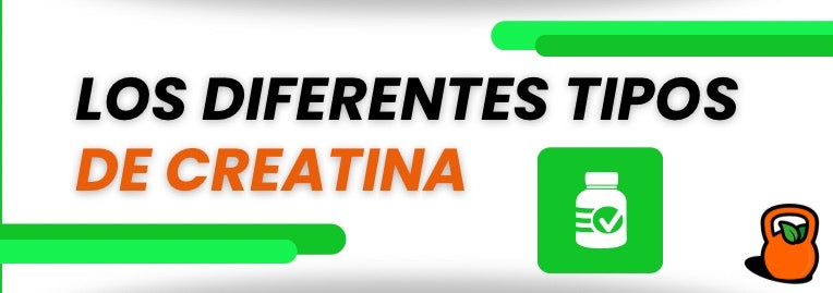 Los diferentes tipos de creatina - Descubre cual es el mejor para ti