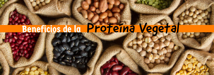 Beneficios de la proteína vegetal