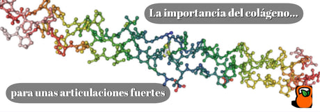La importancia del colágeno para unas articulaciones fuertes