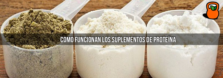 Cómo funcionan los suplementos de proteína