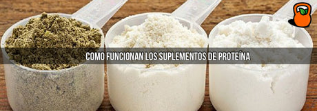 Cómo funcionan los suplementos de proteína