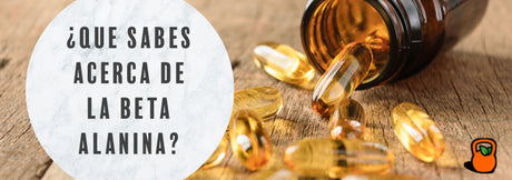 ¿Qué sabes acerca de la beta-alanina?