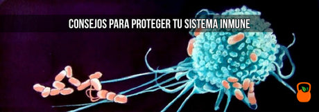Consejos para proteger tu sistema inmune