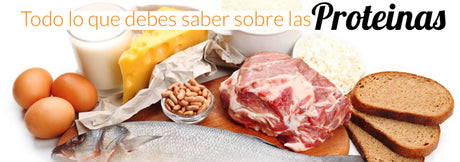 Todo lo que debes saber de las proteínas