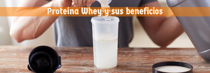 Proteína whey y sus beneficios