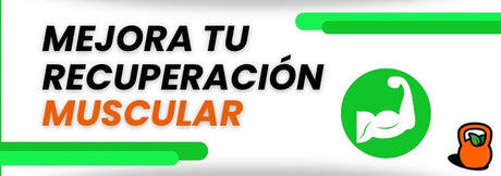 Como optimizar la recuperación muscular