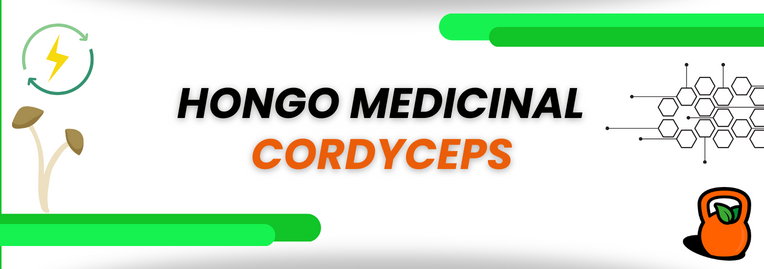 Hongo medicinal Cordyceps: Descubre sus beneficios