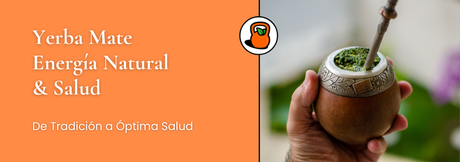 Yerba Mate: Beneficios en la salud