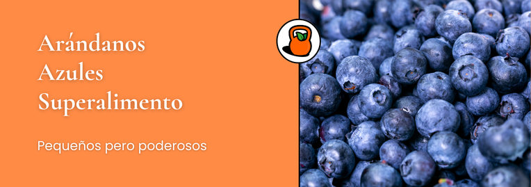 Arándanos Azules: Pequeños, Poderosos y Cargados de Beneficios
