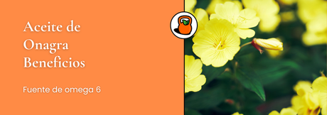 Beneficios del Aceite de Onagra