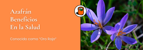Propiedades del Azafrán para la Salud