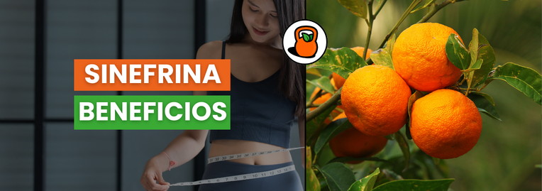 La Sinefrina y sus Beneficios: Todo lo que Necesitas Saber