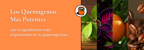 Los 4 ingredientes quemagrasas más potentes (y cómo usarlos bien)