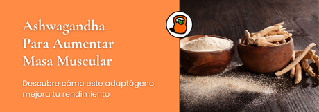 Ashwagandha: el suplemento natural que ayuda a ganar fuerza, músculo y reducir el estrés