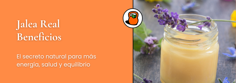 Jalea Real: Qué es y por qué es tan beneficiosa para tu salud