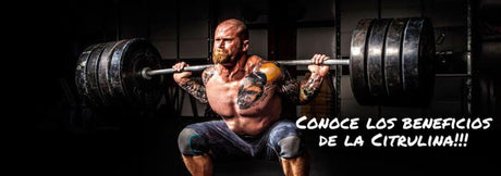 CONOCE LOS BENEFICIOS DE LA CITRULINA