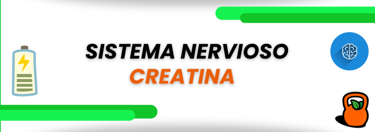 Beneficios de la creatina sobre el sistema nervioso