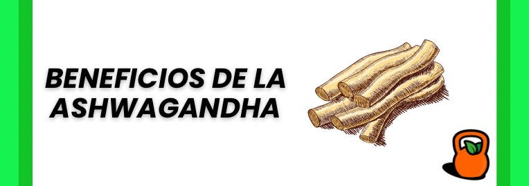 Beneficios de la Ashwagandha