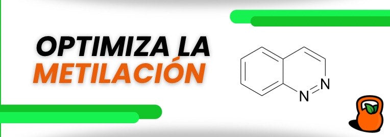 La importancia de la metilación y como optimizarla