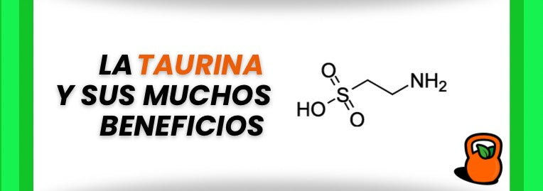 La taurina y sus muchos beneficios
