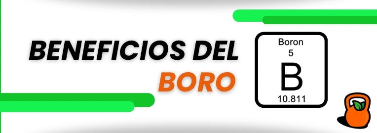 Los beneficios del boro