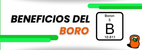 Los beneficios del boro