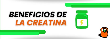 Beneficios de la creatina