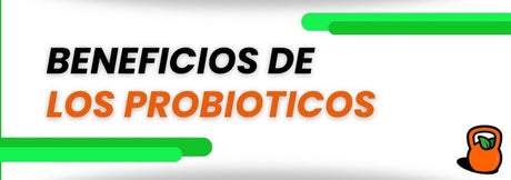 Beneficios de tomar suplementos de probióticos y cómo mantener una flora intestinal saludable