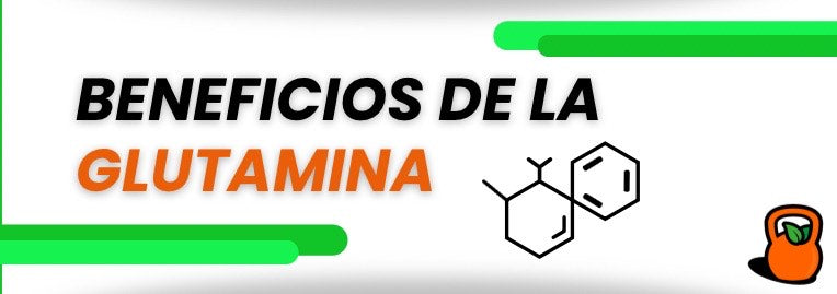 Los beneficios de la glutamina