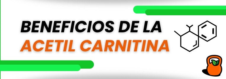 Beneficios de la Acetil-L-Carnitina