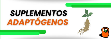 Suplementos adaptógenos: Beneficios y ejemplos