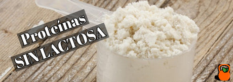 Proteínas sin lactosa, descubre nuevas alternativas
