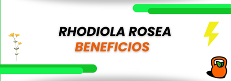 Rhodiola Rosea beneficios