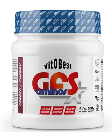 GFS Aminos 500 Gr