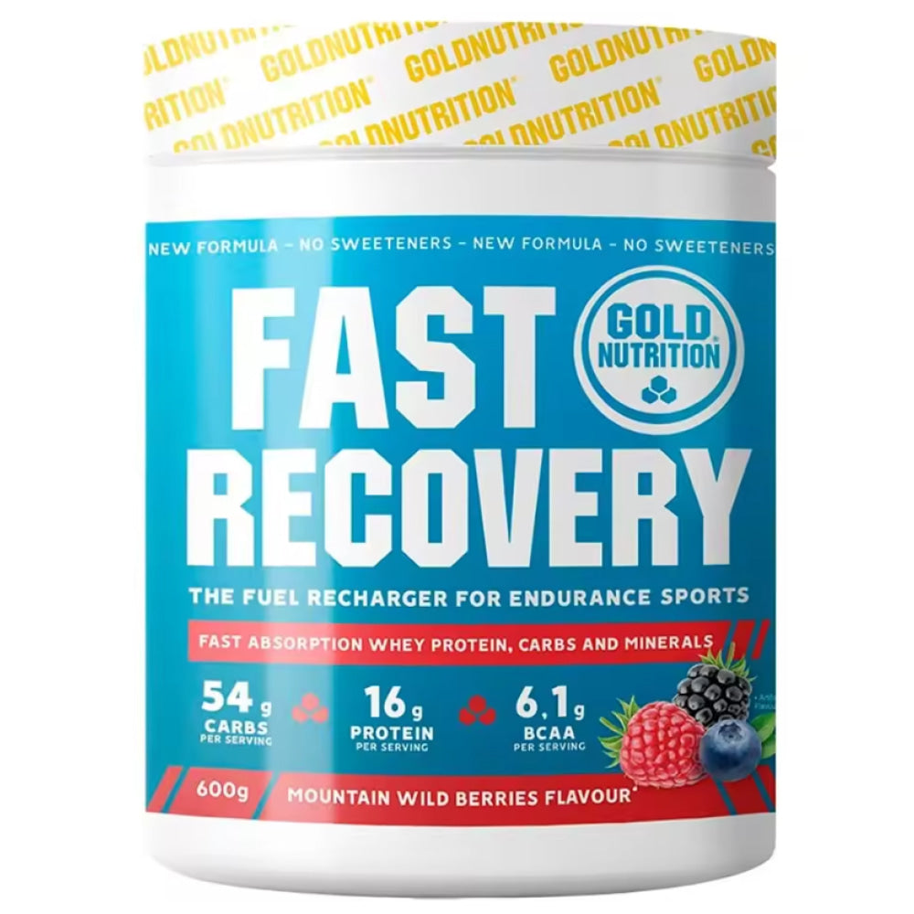 Fast recovery 600 Gr