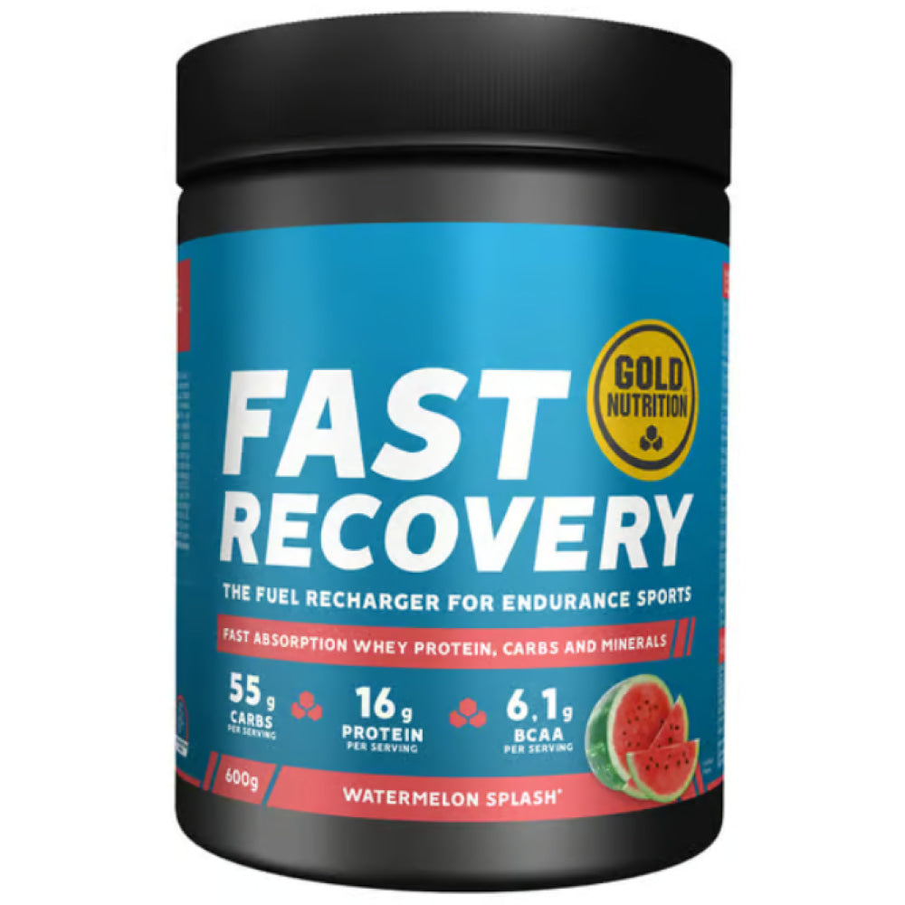 Fast recovery 600 Gr